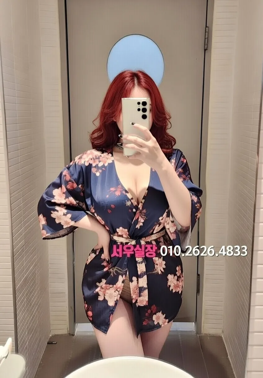 선릉 베트남노래방 추천 및 검증된 최상급 프리미엄 업소 스크린샷